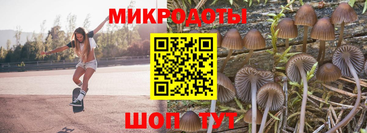 Псилоцибиновые грибы Psilocybine cubensis  Галлюциногенные грибы Cubensis  Вход с VPN  Ноябрьск 
